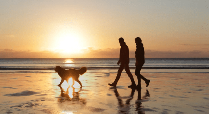 5 Manieren om de Band met Je Hond te Versterken