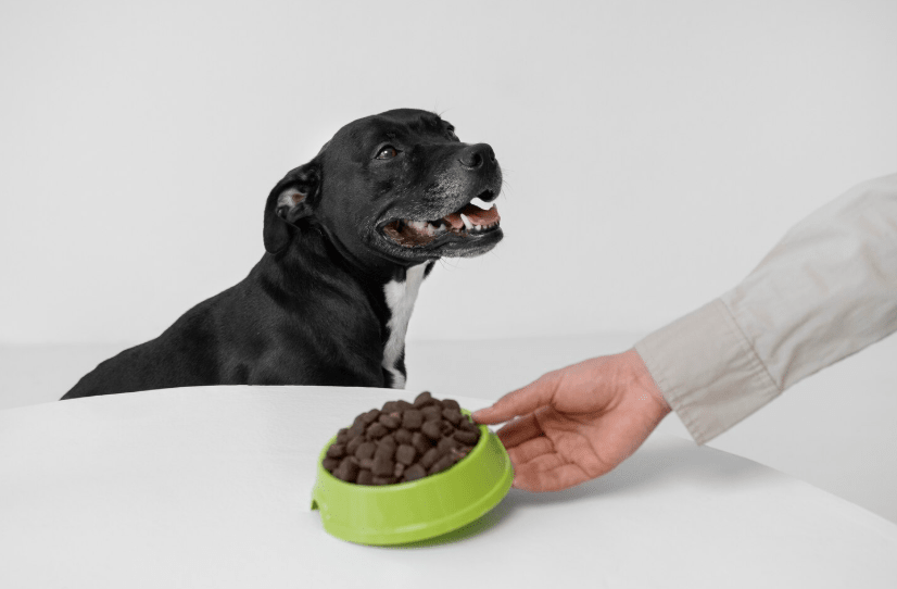 licht verteerbaar hondenvoer voor hond met gevoelige maag