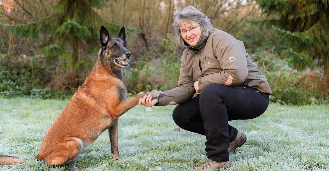 hond opvoeden tips en kleine trainingsgewoontes voor betere resultaten