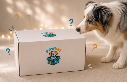 Verrassings box met verassende honden snacks