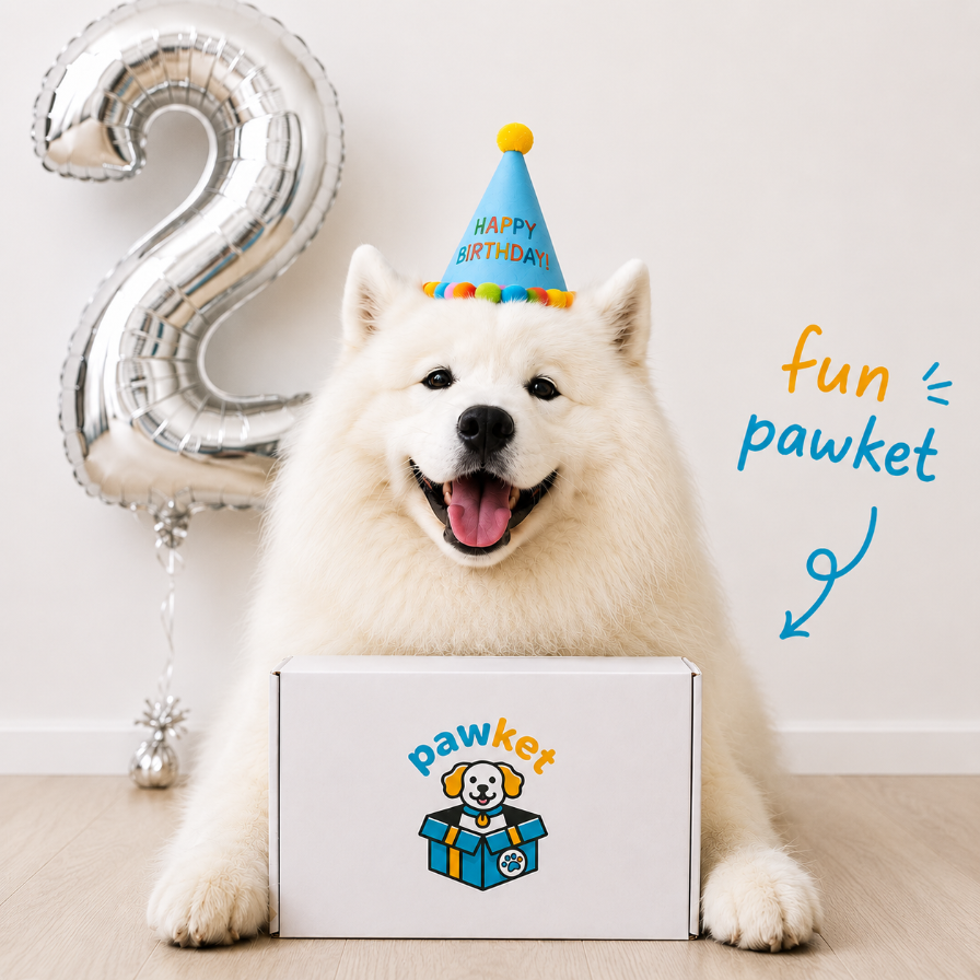 Fun Pawket (Snack & speelgoed)