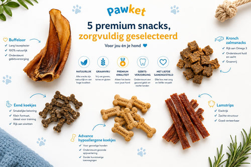 Premium Hondensnack Box Glutenvrij en Lactosevrij
